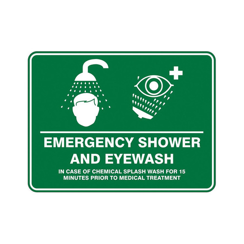 WORKWEAR, SAFETY & CORPORATE CLOTHING SPECIALISTS EMERG. SHOWER & EYE WASH PIC (PS6CM) 450 X 300  METAL